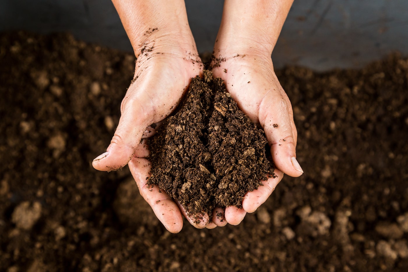 Pros and Cons of Composting