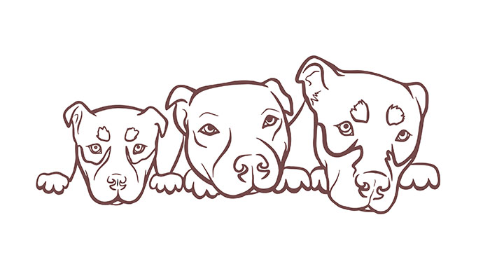 PreshPaws Illustrations Outline