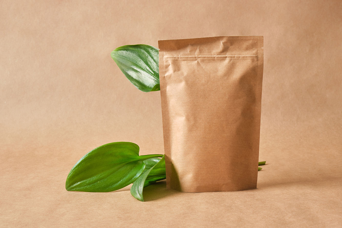 What is eco-friendly packaging and why should you use it?