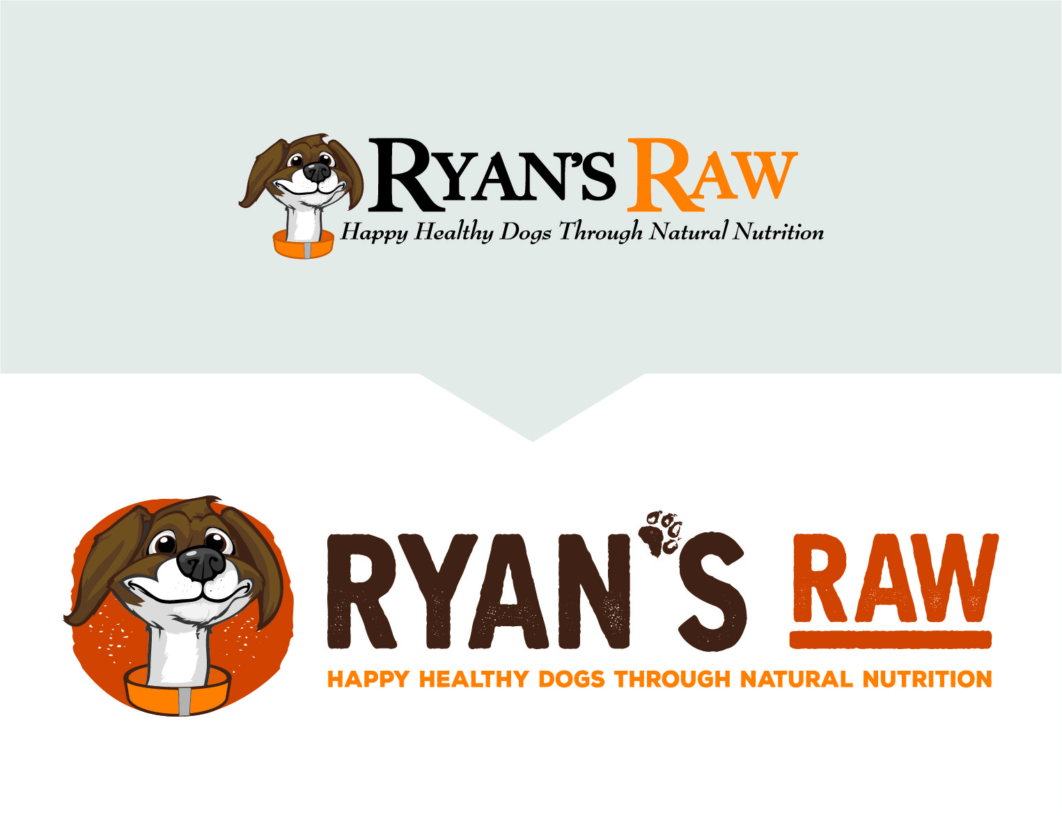 ryans raw: Logo