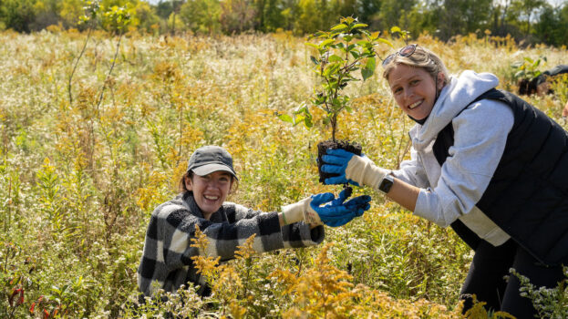 tree-planting-1