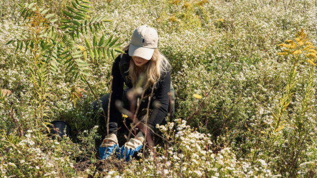 tree-planting-3